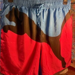 Puma Men's Pink and Blue Swim Shorts